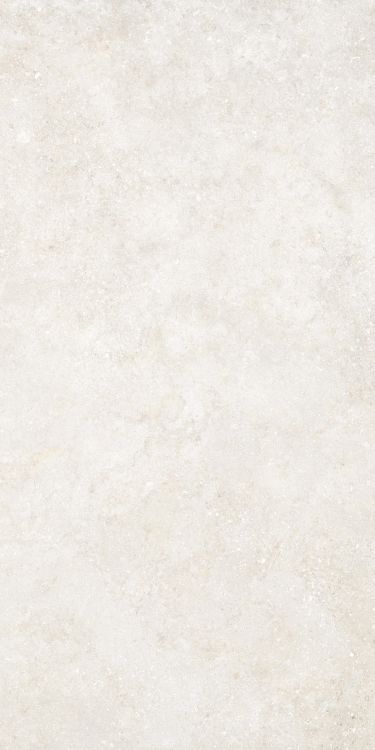 Untamed Wander White 24 x 48 Untamed Wander White 24 x 48